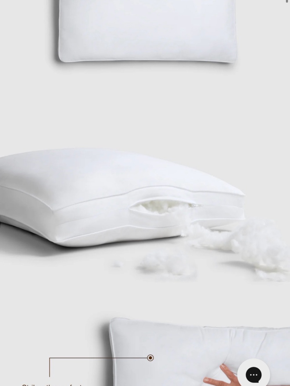 Coop Home Goods Essence Down Alternative Pillow Set of 2, Queen